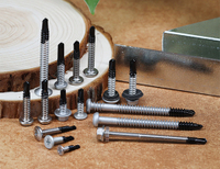 //ijrqrwxhmmmopl5r-static.micyjz.com/cloud/jrBpiKpmloSRrkrmjilljq/S-Bi-Metal-Screws.jpg